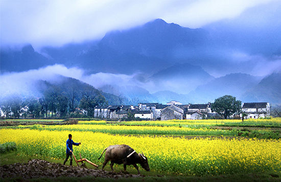 清明旅游推荐济南_清明旅游推荐理由