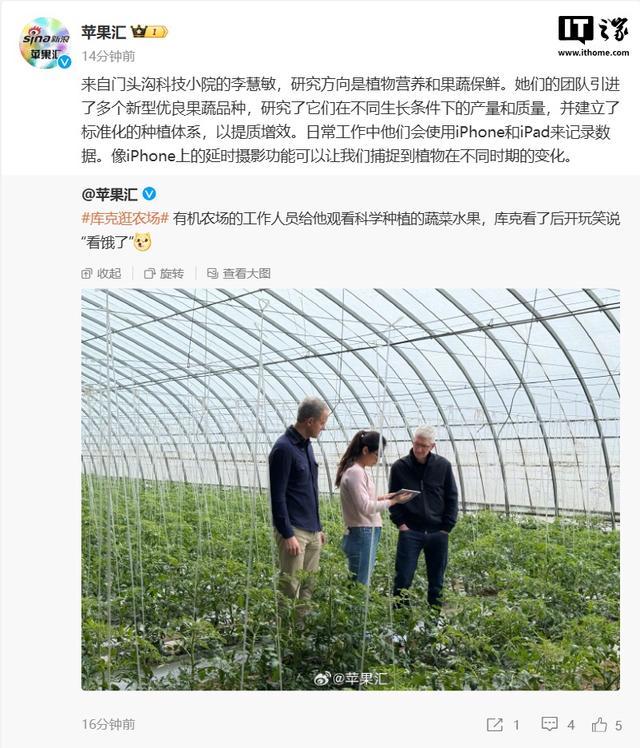 苹果CEO库克与陈漫逛北京胡同 体验中国文化