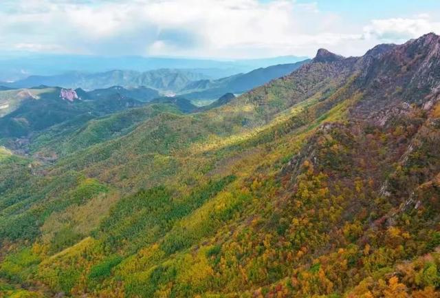 北京秋日红叶氛围感已拉满