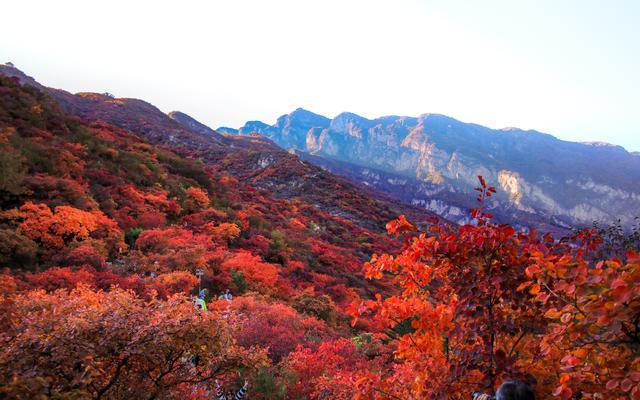 北京房山交警发布坡峰岭出行提示