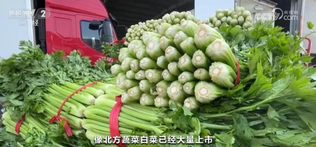 秋季蔬菜大量上市供应充足 价格趋稳回落