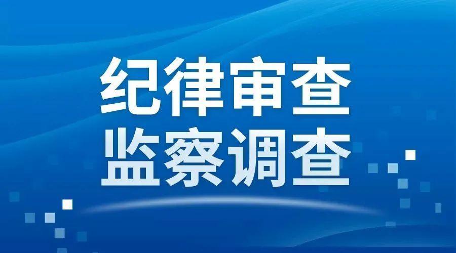 湖南省益阳市卫健委主任夏大接受审查调查