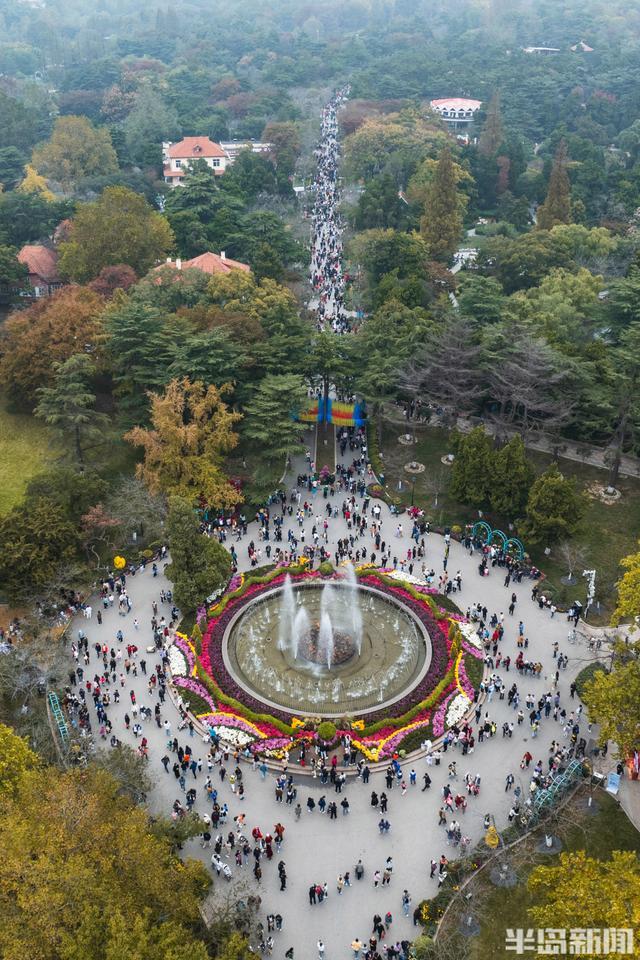 太平山公园彩菊绽放游客纷至 秋色迷人游人醉