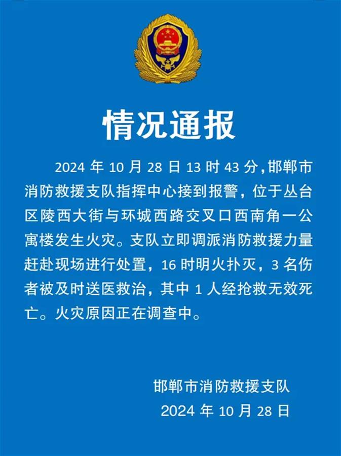 邯郸一公寓火灾致1死2伤，亲历者：楼道全是浓烟，湿毛巾堵门缝捂口鼻自救