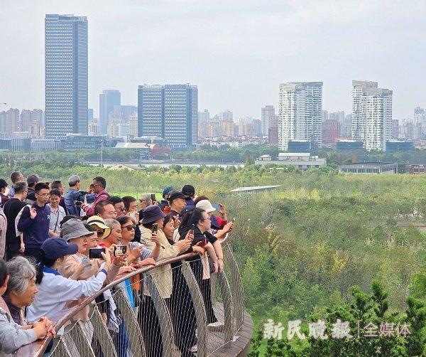 双子山配了登山杖！让市民游客一年四季都有绿草地观赏，上海世博文化公园既是“细节控”又做“行动派”