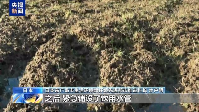 驻日美军附近水污染物超标300倍 居民生活受严重影响