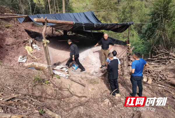 守护绿水青山，湖南麻阳严厉打击非法毁林烧炭