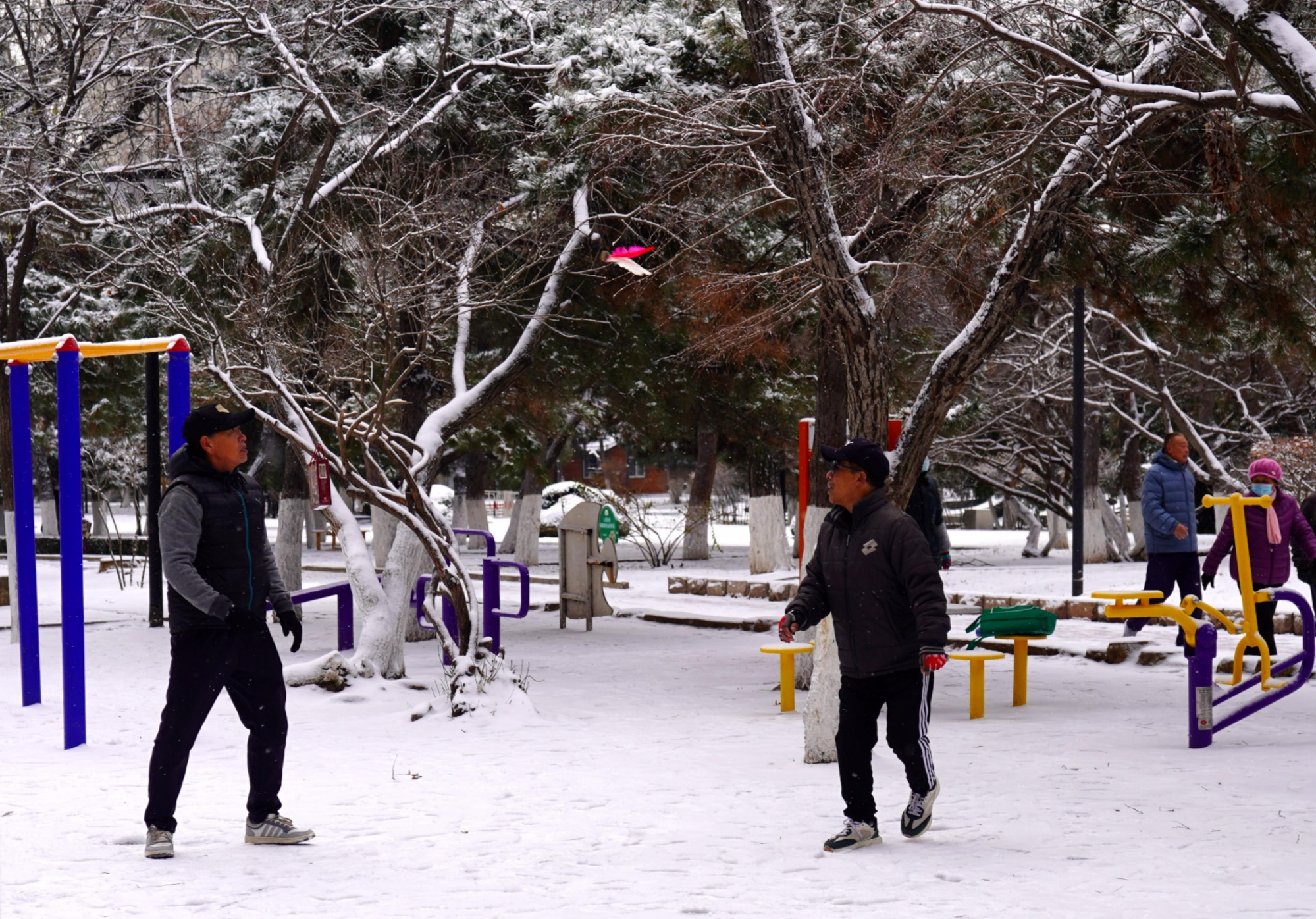 辽宁迎今冬首场大雪 需防范雪后低温