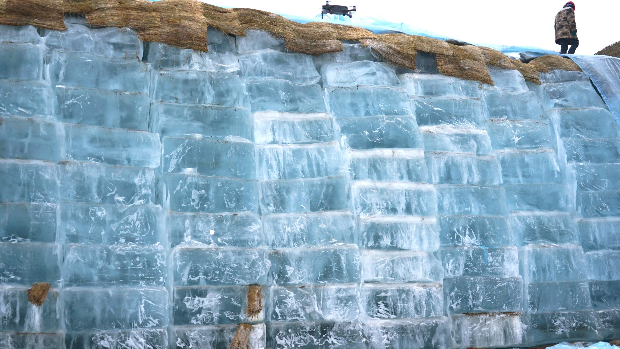 存冰运入园区 第二十六届哈尔滨冰雪大世界冰建施工开始！