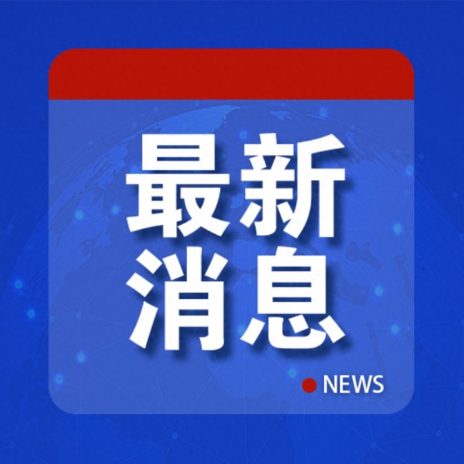 俄土沙伊等八国呼吁政治解决叙问题