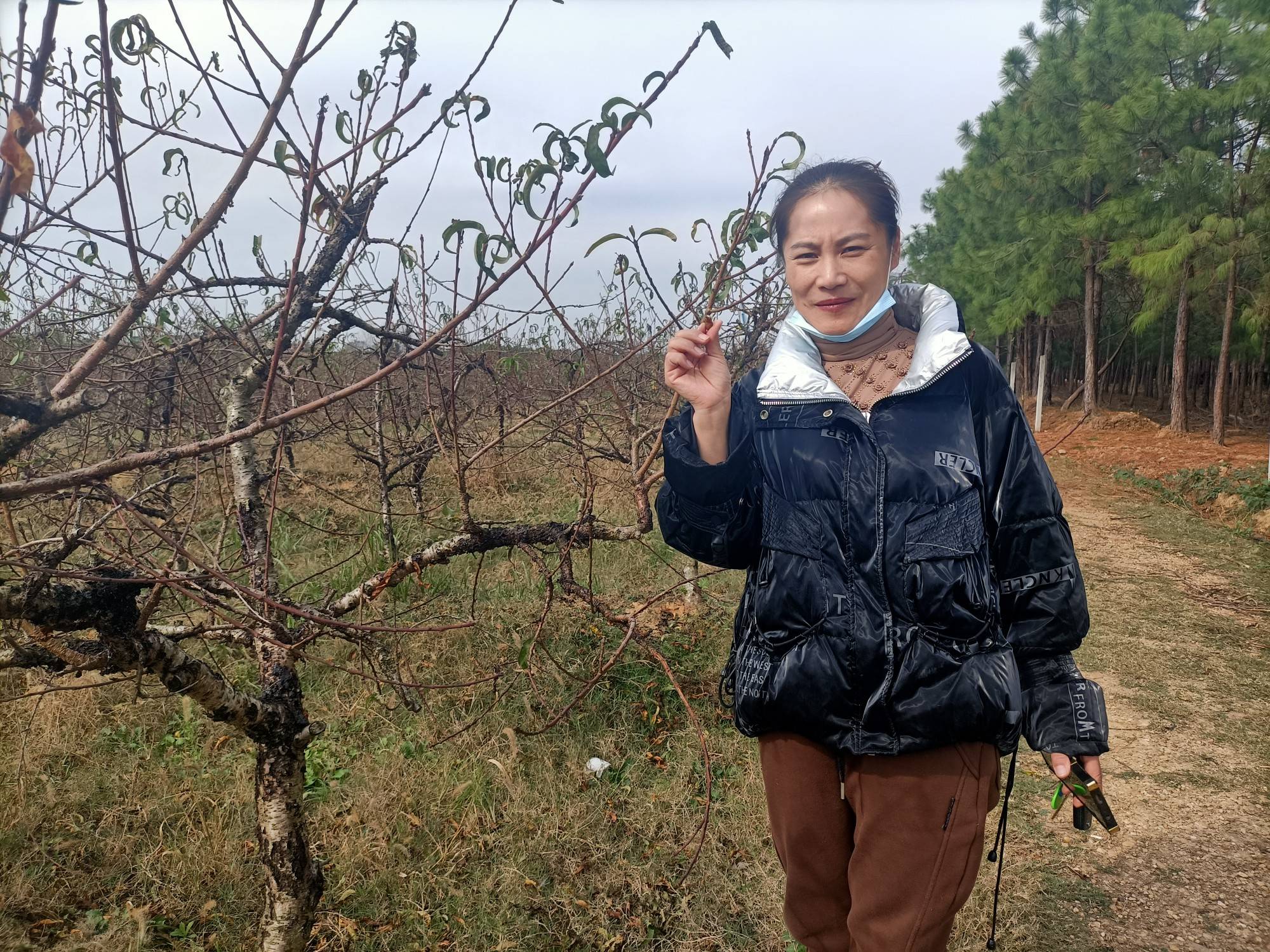 武汉新洲程波兰：愿做“李子柒”式的女性，将桃花园打造得如诗如画