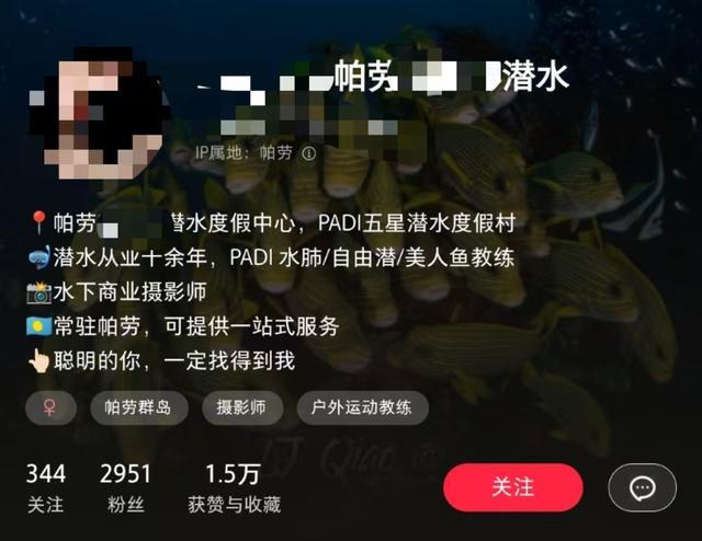 7名中国潜水员帕劳失联 搜救工作持续进行