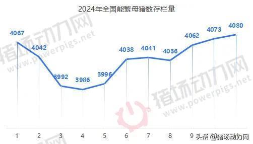 反常！仔猪暴涨到500还“一苗难求” 春节后或继续涨